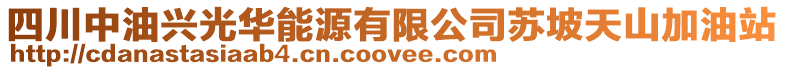 四川中油興光華能源有限公司蘇坡天山加油站