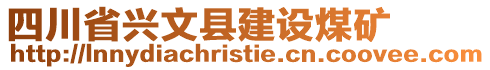 四川省興文縣建設(shè)煤礦