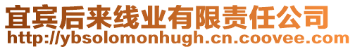 宜賓后來線業(yè)有限責任公司