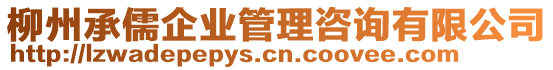 柳州承儒企業管理咨詢有限公司