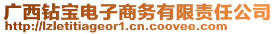 廣西鉆寶電子商務(wù)有限責(zé)任公司