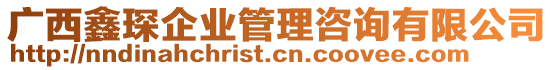 廣西鑫琛企業(yè)管理咨詢有限公司