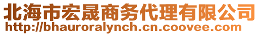 北海市宏晟商務(wù)代理有限公司