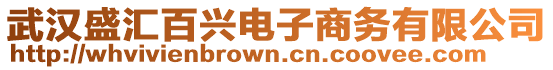 武漢盛匯百興電子商務(wù)有限公司