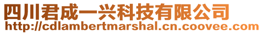 四川君成一興科技有限公司