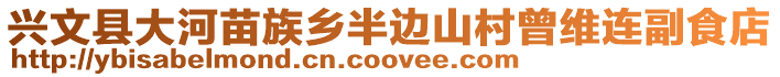 興文縣大河苗族鄉(xiāng)半邊山村曾維連副食店