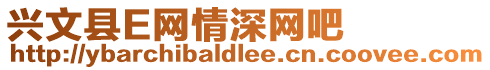 興文縣E網情深網吧
