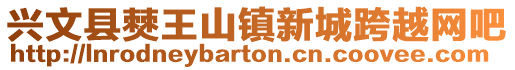 興文縣僰王山鎮新城跨越網吧