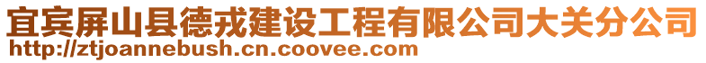 宜賓屏山縣德戎建設工程有限公司大關分公司