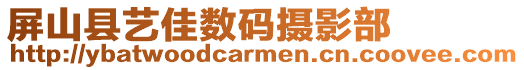 屏山縣藝佳數碼攝影部