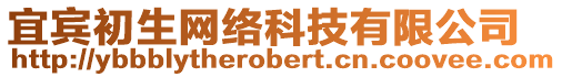 宜賓初生網(wǎng)絡(luò)科技有限公司