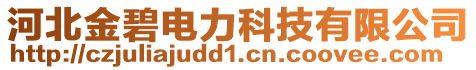 河北金碧電力科技有限公司