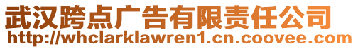 武漢跨點廣告有限責任公司