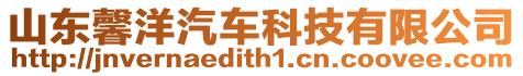 山東馨洋汽車科技有限公司