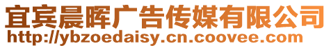 宜賓晨暉廣告?zhèn)髅接邢薰? style=