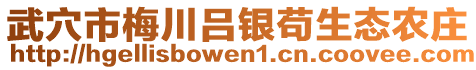 武穴市梅川呂銀茍生態(tài)農(nóng)莊