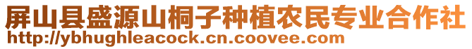 屏山縣盛源山桐子種植農(nóng)民專業(yè)合作社