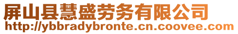 屏山縣慧盛勞務(wù)有限公司