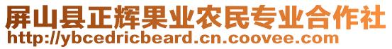 屏山縣正輝果業(yè)農(nóng)民專業(yè)合作社