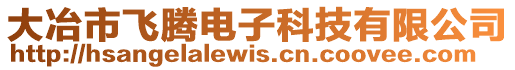 大冶市飛騰電子科技有限公司