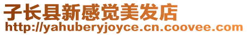 子長(zhǎng)縣新感覺(jué)美發(fā)店