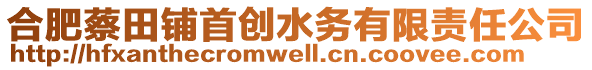 合肥蔡田鋪首創(chuàng)水務(wù)有限責(zé)任公司