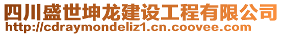 四川盛世坤龍建設工程有限公司