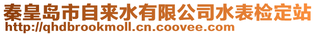 秦皇島市自來水有限公司水表檢定站