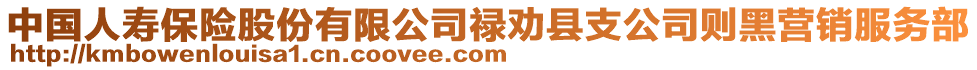 中國人壽保險股份有限公司祿勸縣支公司則黑營銷服務部