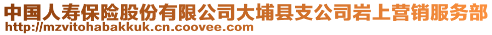 中国人寿保险股份有限公司大埔县支公司岩上营销服务部