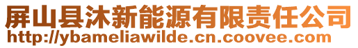 屏山县沐新能源有限责任公司