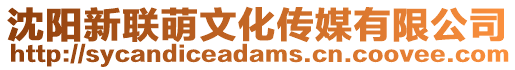 沈陽(yáng)新聯(lián)萌文化傳媒有限公司