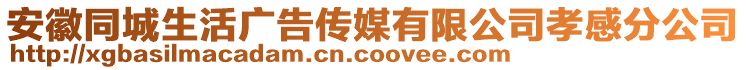 安徽同城生活廣告?zhèn)髅接邢薰拘⒏蟹止? style=