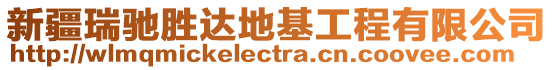 新疆瑞馳勝達地基工程有限公司