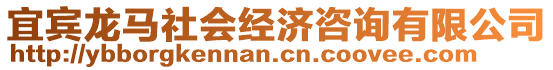 宜賓龍馬社會經濟咨詢有限公司