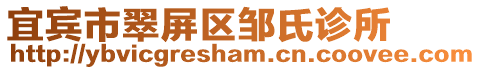 宜賓市翠屏區(qū)鄒氏診所