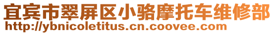 宜賓市翠屏區(qū)小駱摩托車維修部