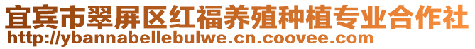 宜賓市翠屏區(qū)紅福養(yǎng)殖種植專業(yè)合作社