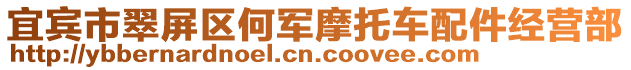 宜賓市翠屏區何軍摩托車配件經營部