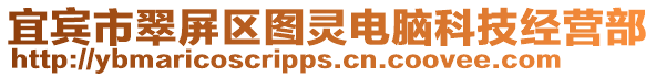 宜賓市翠屏區(qū)圖靈電腦科技經(jīng)營部
