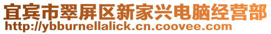 宜賓市翠屏區新家興電腦經營部