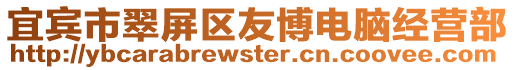 宜賓市翠屏區友博電腦經營部