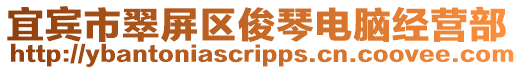 宜賓市翠屏區俊琴電腦經營部