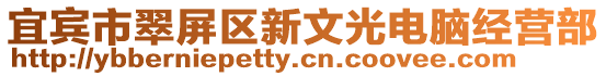 宜賓市翠屏區新文光電腦經營部