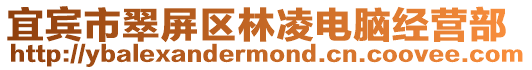 宜賓市翠屏區林凌電腦經營部