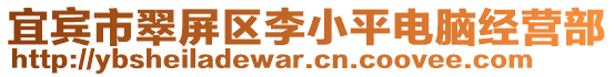 宜賓市翠屏區(qū)李小平電腦經(jīng)營部