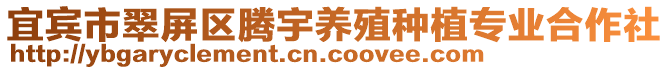 宜賓市翠屏區騰宇養殖種植專業合作社