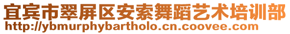 宜賓市翠屏區(qū)安索舞蹈藝術(shù)培訓(xùn)部