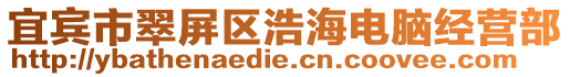 宜賓市翠屏區浩海電腦經營部