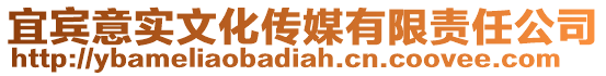 宜賓意實文化傳媒有限責任公司